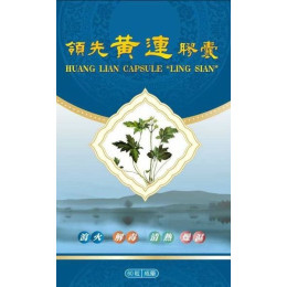 "領先"黃連膠囊